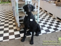 IMG_3271