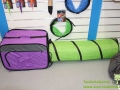 Interzoo_Taubertalperser 006