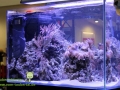 Interzoo_Taubertalperser 016