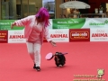 Animal-01