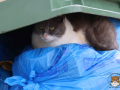 Arkadi-Katze-06