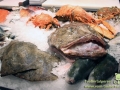 Berlin-KaDeWe-Fische-00