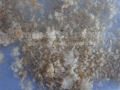 Ekobest_04