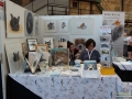 Faszination Heimtierwelt, Düsseldorf, Taubertalperser, Katzen, Heimtiermesse