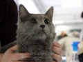 Heimtiermesse Giessen