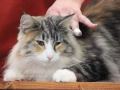 Heimtiermesse Giessen