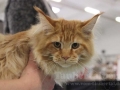 Heimtiermesse Giessen