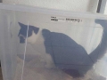 Ikea_03