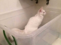 Samla_02