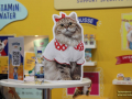 Interzoo-12
