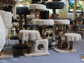 Interzoo-032