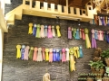 Katzencafe-Beijing-12