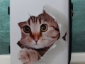Koffer-Katze-Taubertalperser-00
