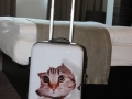 Koffer-Katze-Taubertalperser-07