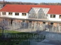 Pet-Center-00-Taubertalperser