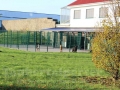 Pet-Center-01-Taubertalperser