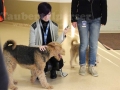 Pet-Center-1-Taubertalperser
