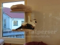 Pet-Center-3--Taubertalperser
