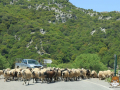 Kreta-07