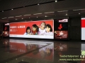 Shanghai-Taubertalperser-Verkehr-Metro-04