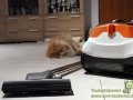 Thomas Cycloon Hybrid Pet & Friends