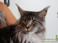 Tierisch_Crailsheim_Taubertalperser-11