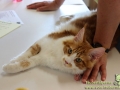 Tierisch_Crailsheim_Taubertalperser-12