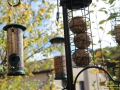 Vogelfutterstation-Tuinplus-Taubertalperser-01