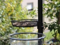 Vogelfutterstation-Tuinplus-Taubertalperser-04