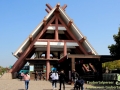 Shanghai-Taubertalperser-Wild-Animal-Park