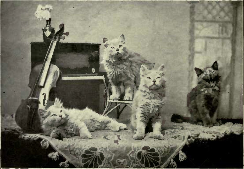 A MUSICAL PARTY. (Photo : E. Landor, Ealing.)