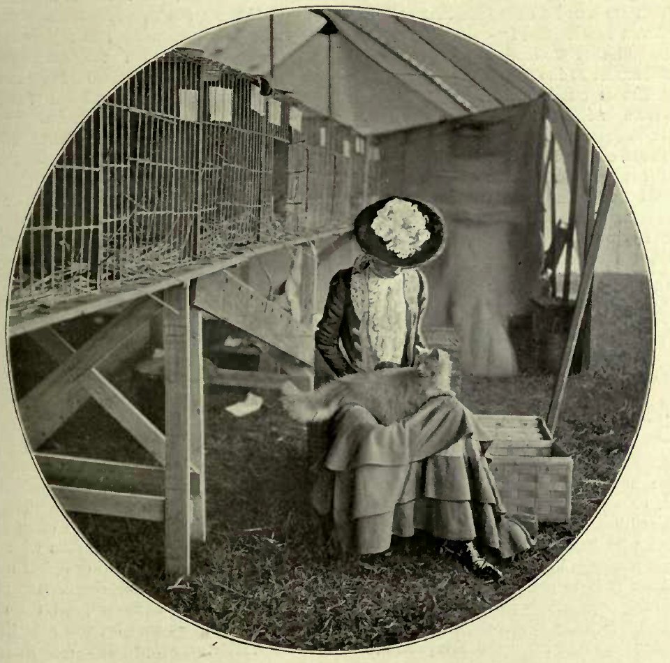 THE TOILET - MRS. PETER BROWN AND HER PRIZE CAT. (Photo : Cassell & Company, Limited.)
