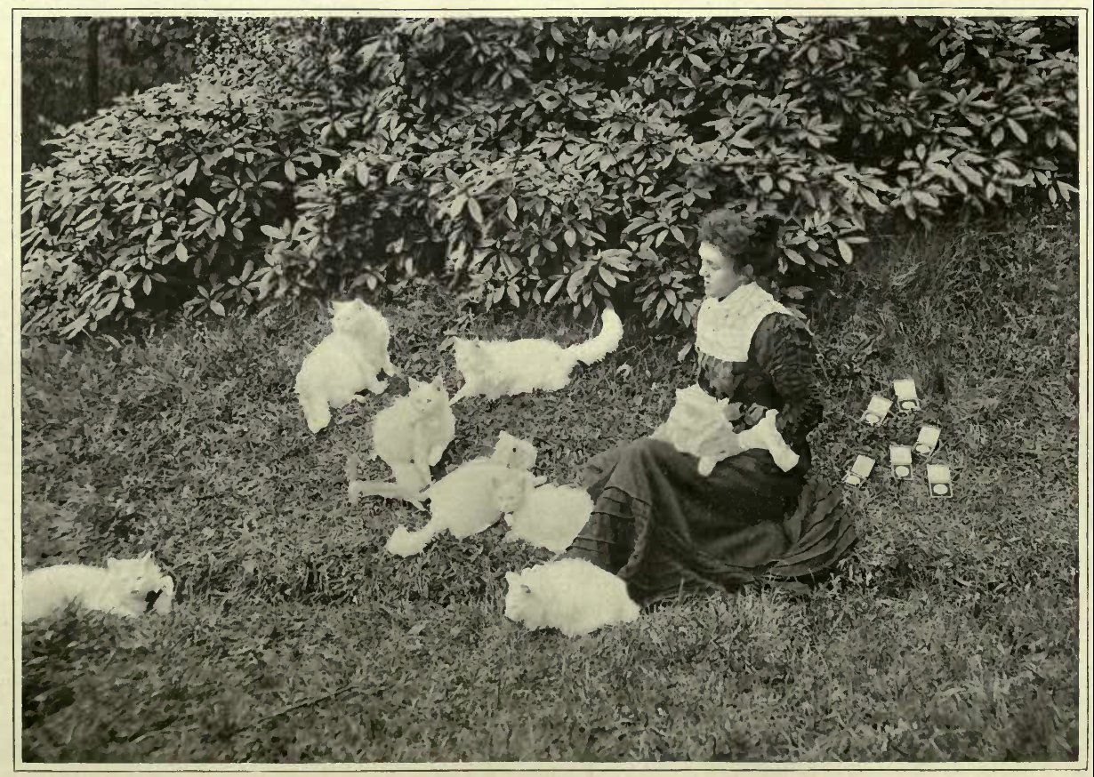 MRS. PETTY WITH HER WHITE PERSIANS.