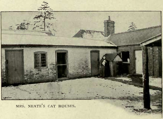 MRS. NEATE'S CAT HOUSES