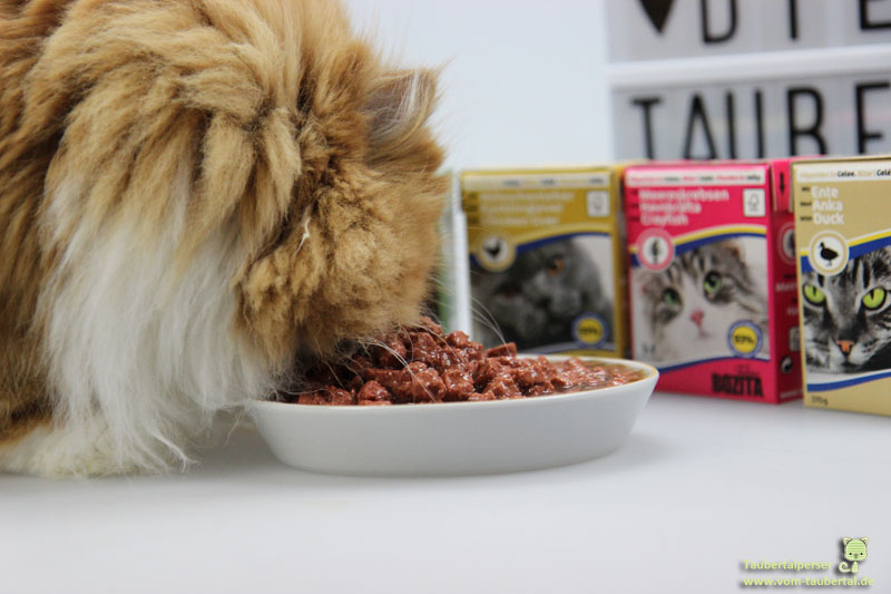 Bozita, Katzenfuttertest, Taubertalperser, Futterbewertung, Futtertest, unabhängiger Katzenblog