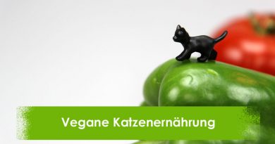 Vegan, Vegetarisch, Katzenernährung, Taubertalperser, Katzenblog, Katzeninformationsseite
