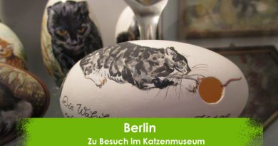 Berlin Katzenmuseum