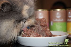 Leckaland, Taubertalperser, unabhängiger Katzenfuttertest, Futtertest