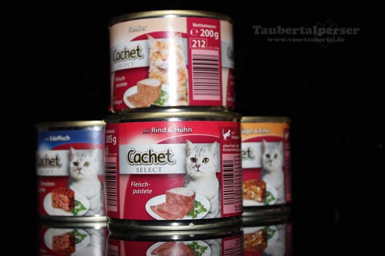 Katzenfutter im Test Cachet Aldi Süd Taubertaplerser