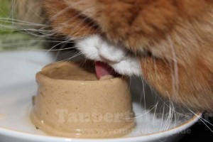 Taubertalperser-catz-finefood-mousse-02