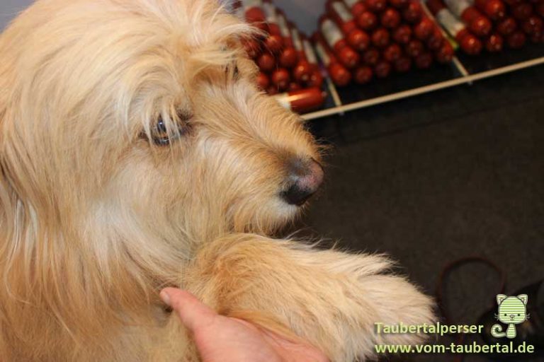 Die Taubertalperser zu Besuch bei der 17. Garten und Zooevent