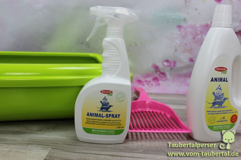 Unsauberkeit bei Katzen warum pinkelt meine Katze überall hin?