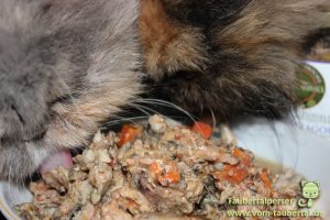 Schlemmermaul, unabhängiger Katzenfuttertest, Katzenfutter, Taubertalperser
