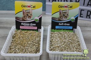 GimCat Katzengras, Taubertalperser, Softgras, Wiesenduft, Produkttest