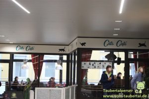 Cats Cafe, Karlsruhe, Katzencafe, Taubertalperser