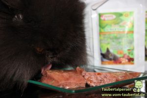 Panys Fleischrollen, Katzenfuttertest, Katzenfutterbewertung, Taubertalperser, unabhängiger Katzenblog, unabhängiger Futtertest