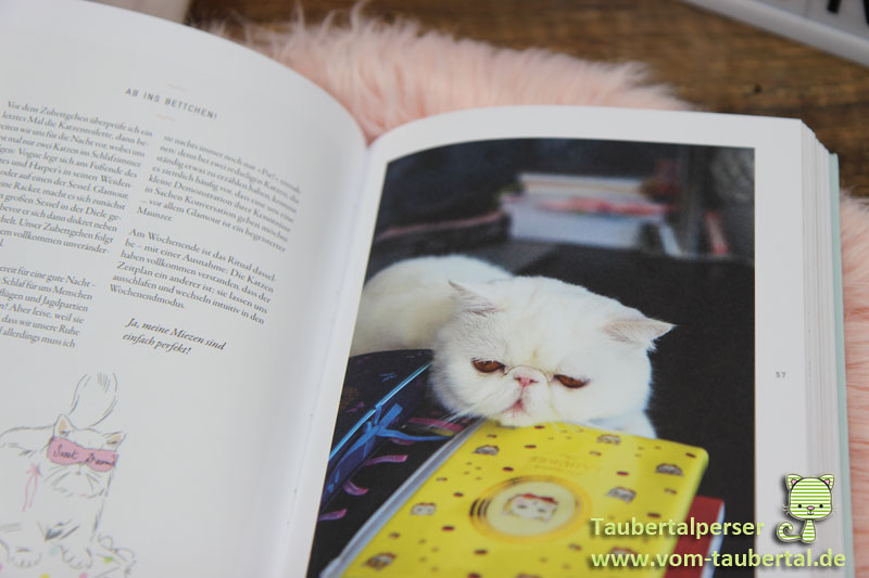 Cat Chic, Taubertalperser, Buchvorstellung, Katzenbuch