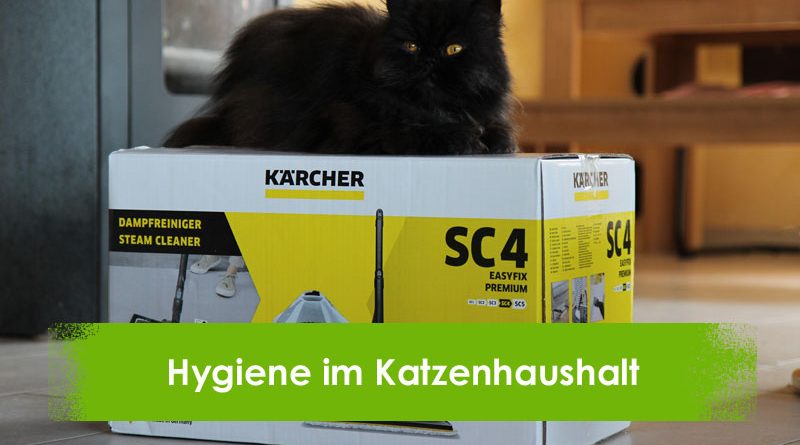 Kärcher Dampfreiniger SC4 Premium, Taubertalperser, Hygiene im Katzenhaushalt, Katzenblog, Produktbericht, Review
