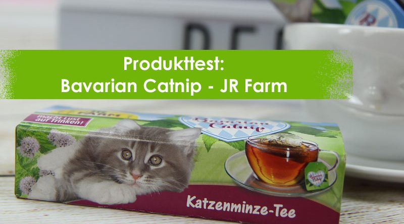 Bavarian Catnip, JR Farm, Katzenminze-Tee, Taubertalperser, Katzenblog, Katzentee, unabhängiger Katzenblog