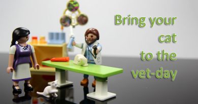 Bring your cat to the vet day, Taubertalperser, Katzen, Tierarzt, Vorsorge, Gesundheit